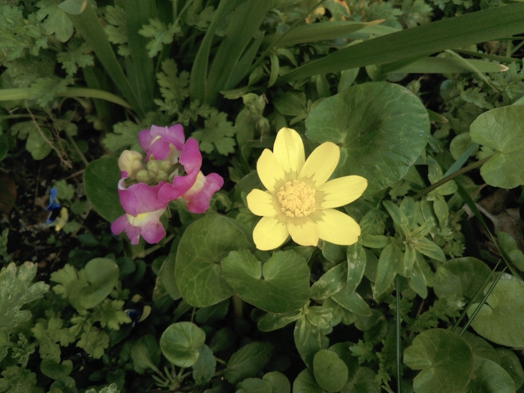 f:id:nonchi1010:20190301165403j:plain f:id:nonchi1010:20190301165403j:plain