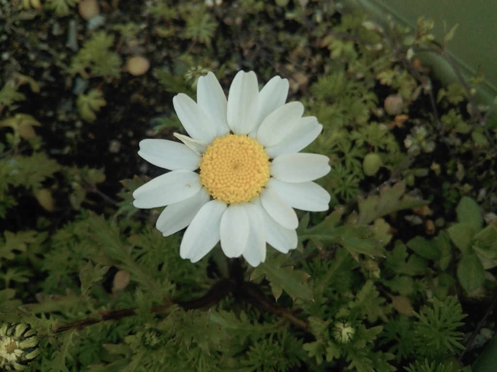 f:id:nonchi1010:20190301165452j:plain f:id:nonchi1010:20190301165452j:plain