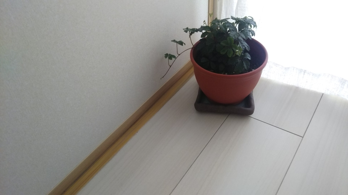 f:id:nonchi1010:20190414143232j:plain