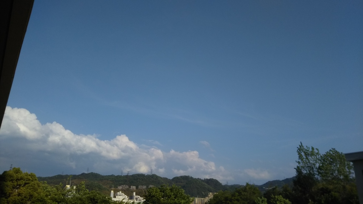 f:id:nonchi1010:20190506131453j:plain
