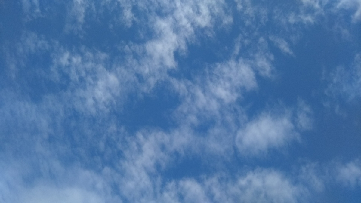 f:id:nonchi1010:20190710093122j:plain f:id:nonchi1010:20190710093122j:plain
