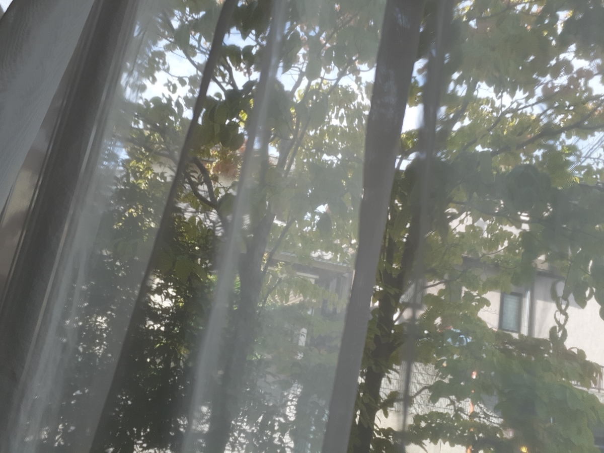 f:id:nonchi1010:20190928081848j:plain