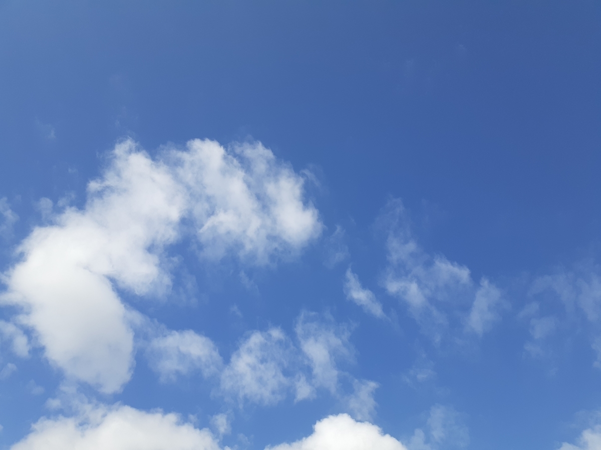 f:id:nonchi1010:20191015124243j:plain f:id:nonchi1010:20191015124243j:plain