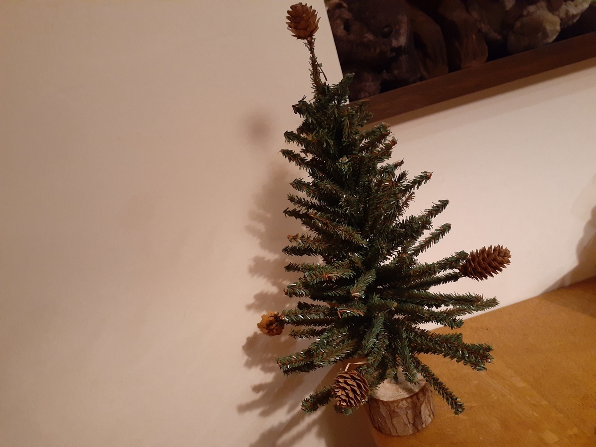 f:id:nonchi1010:20191201013959j:plain f:id:nonchi1010:20191201013959j:plain