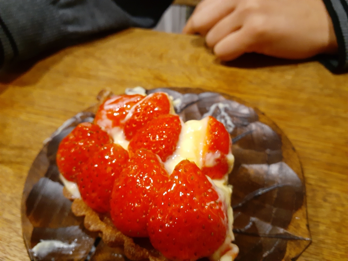 f:id:nonchi1010:20191206113010j:plain