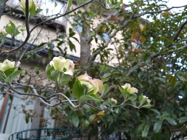f:id:nonchi1010:20200416120303j:plain f:id:nonchi1010:20200416120303j:plain
