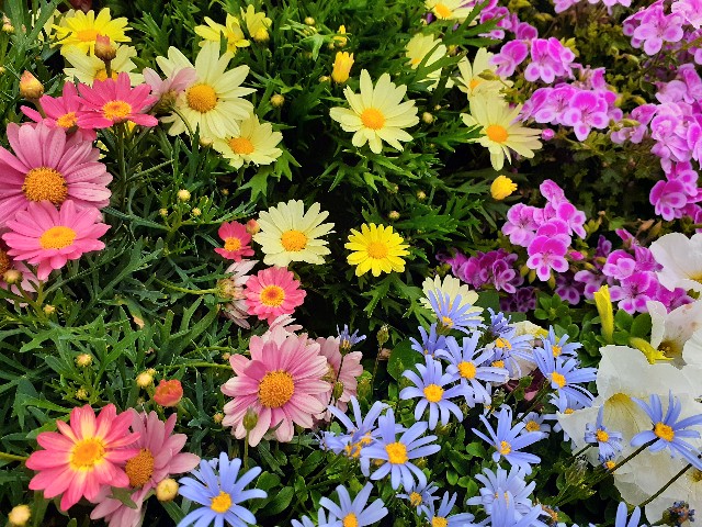 f:id:nonchi1010:20200503203335j:plain f:id:nonchi1010:20200503203335j:plain