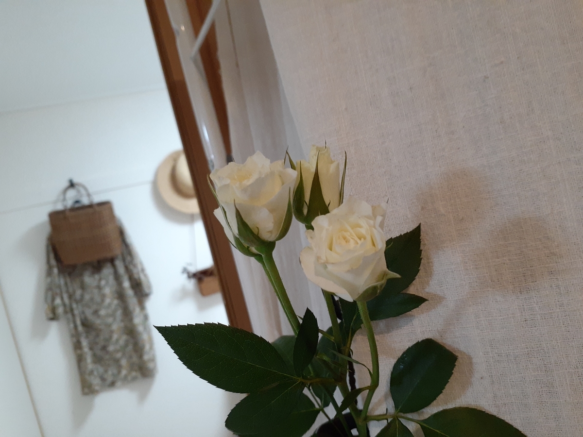 f:id:nonchi1010:20200531203226j:plain