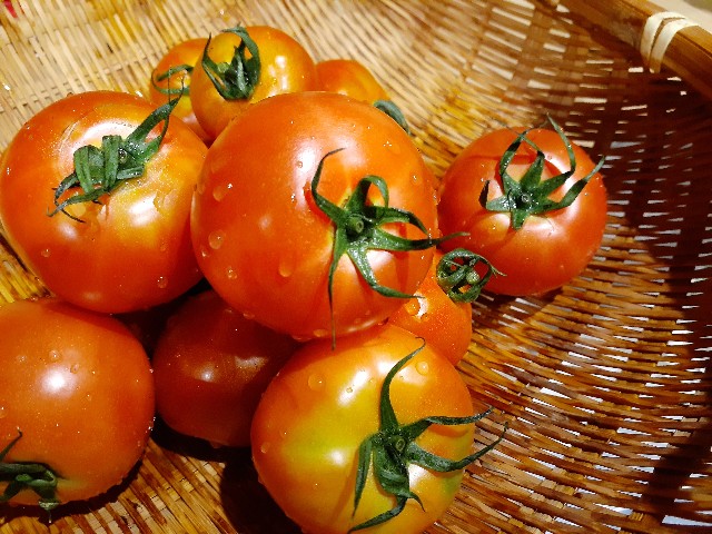 f:id:nonchi1010:20200712232253j:plain f:id:nonchi1010:20200712232253j:plain