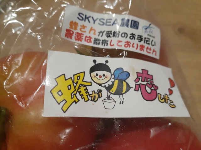 f:id:nonchi1010:20200731055953j:plain