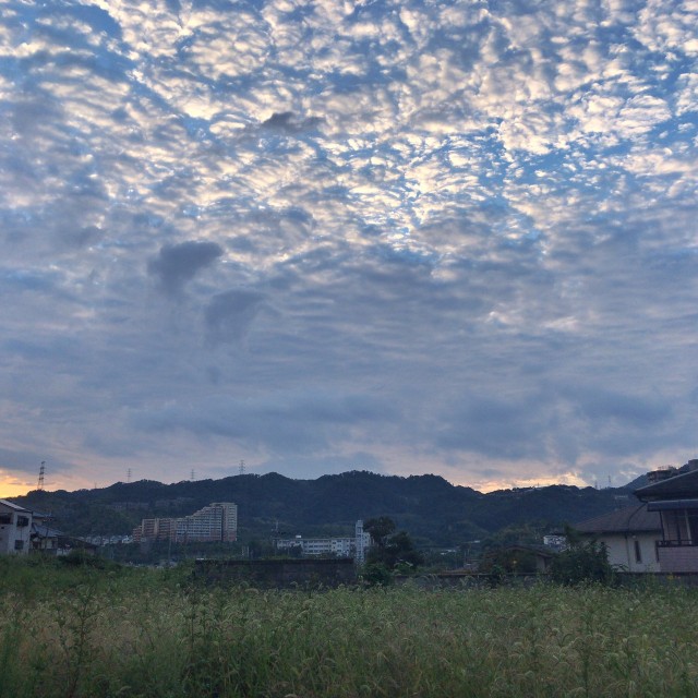 f:id:nonchi1010:20201006104238j:plain f:id:nonchi1010:20201006104238j:plain