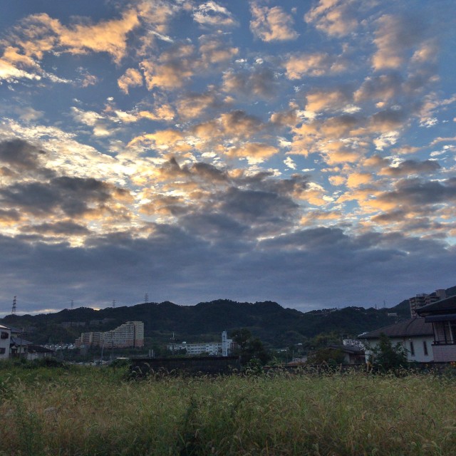 f:id:nonchi1010:20201012082357j:plain f:id:nonchi1010:20201012082357j:plain