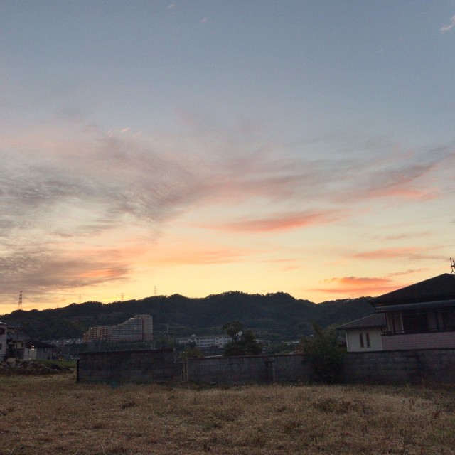 f:id:nonchi1010:20201028082448j:plain