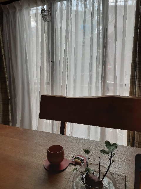 f:id:nonchi1010:20201108134428j:plain