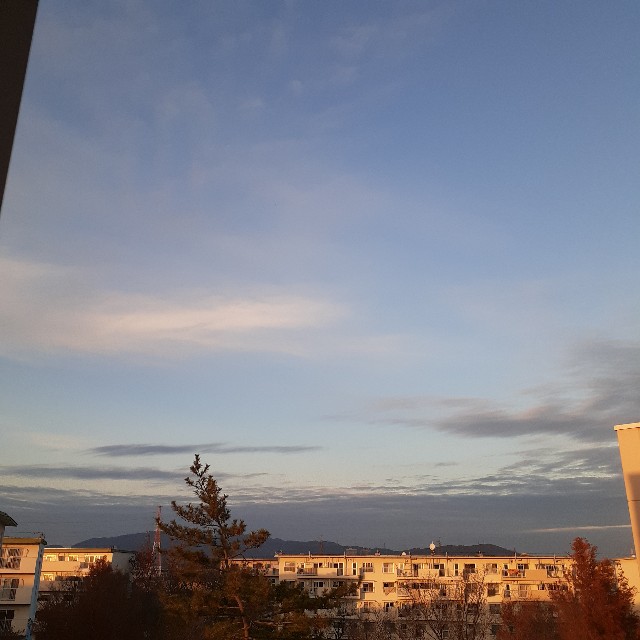 f:id:nonchi1010:20201228073856j:plain