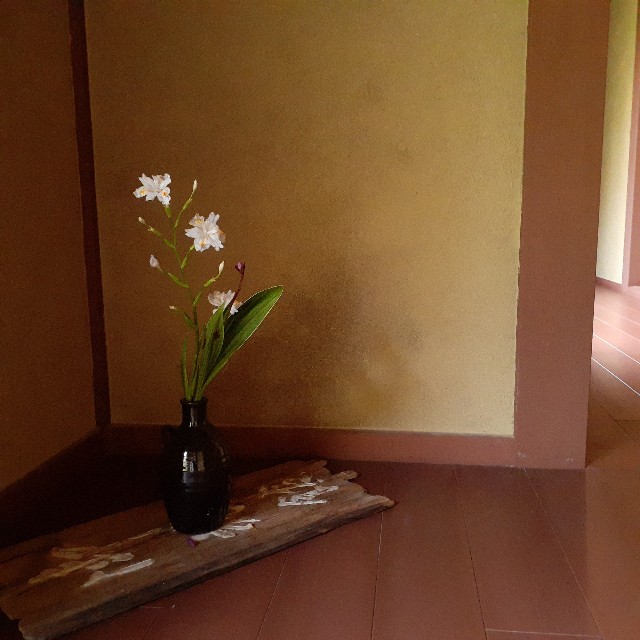 f:id:nonchi1010:20210419151157j:plain