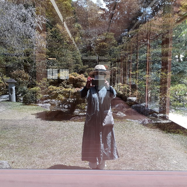 f:id:nonchi1010:20210419151606j:plain