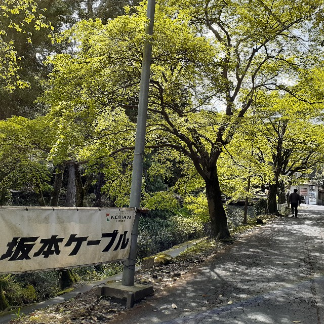 f:id:nonchi1010:20210419151654j:plain