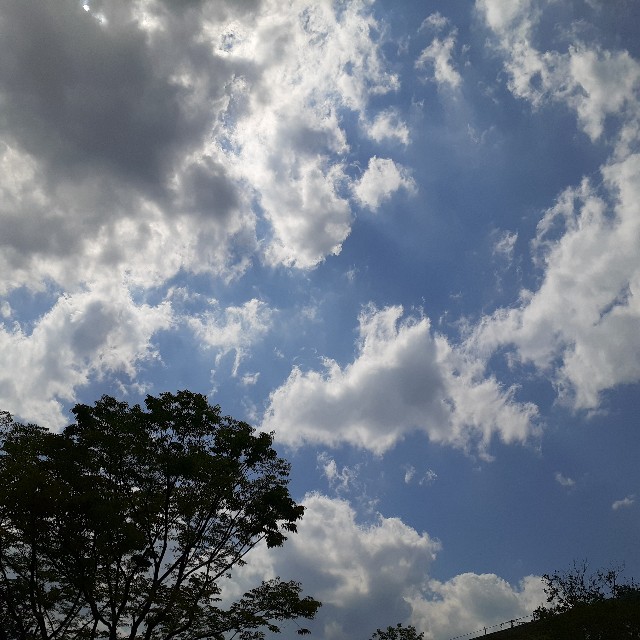 f:id:nonchi1010:20210530215956j:plain