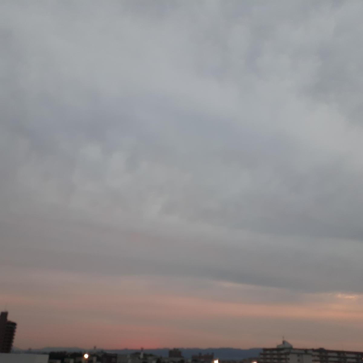 f:id:nonchi1010:20210607094308j:plain