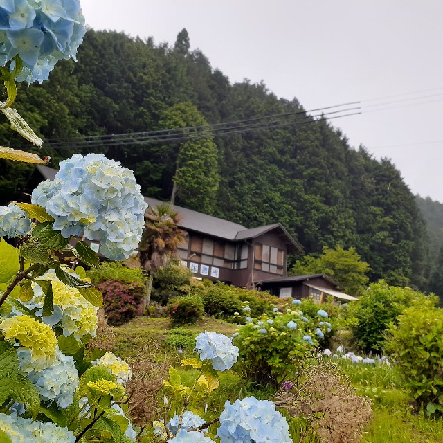 f:id:nonchi1010:20210613191014j:plain