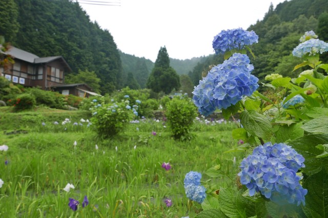 f:id:nonchi1010:20210613191327j:plain