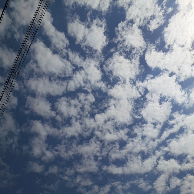 f:id:nonchi1010:20210702082619j:plain
