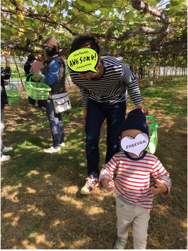 f:id:nonchikosodate:20171003141205j:plain