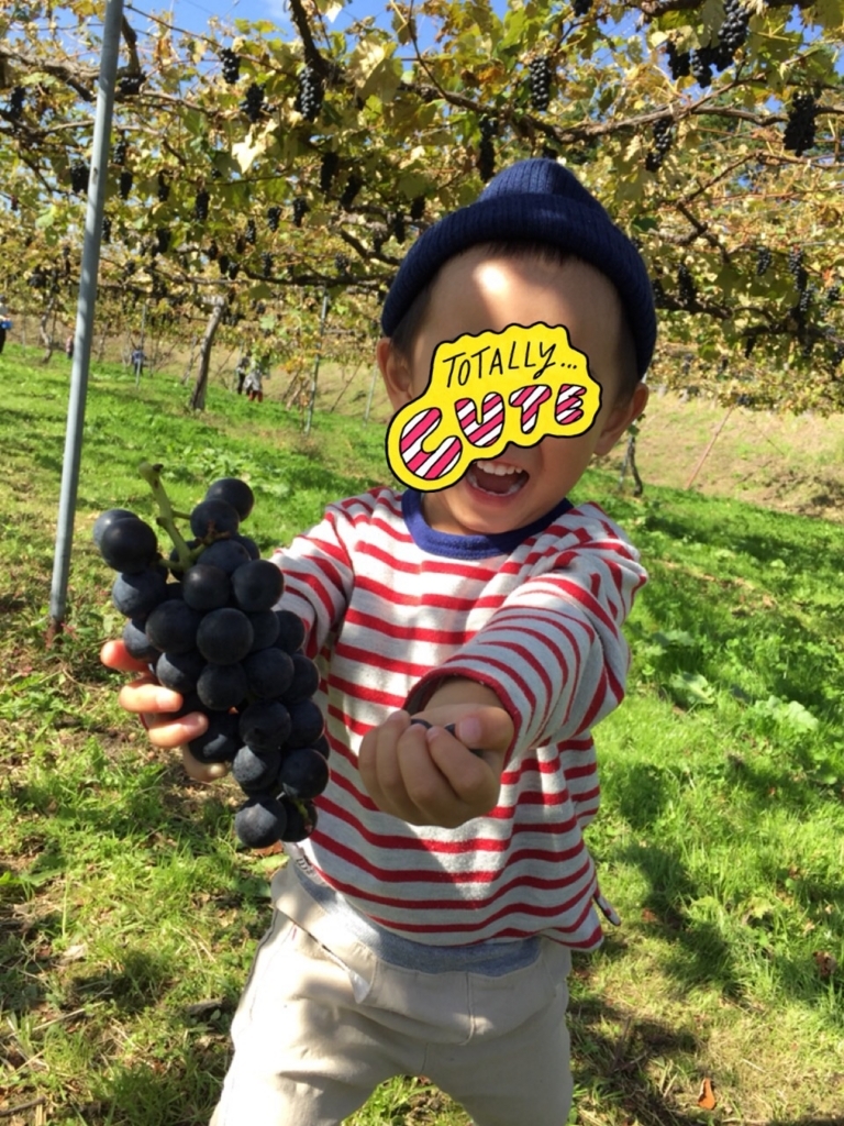 f:id:nonchikosodate:20171003141227j:plain