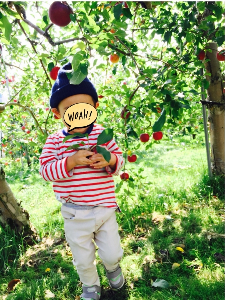 f:id:nonchikosodate:20171003141245j:plain