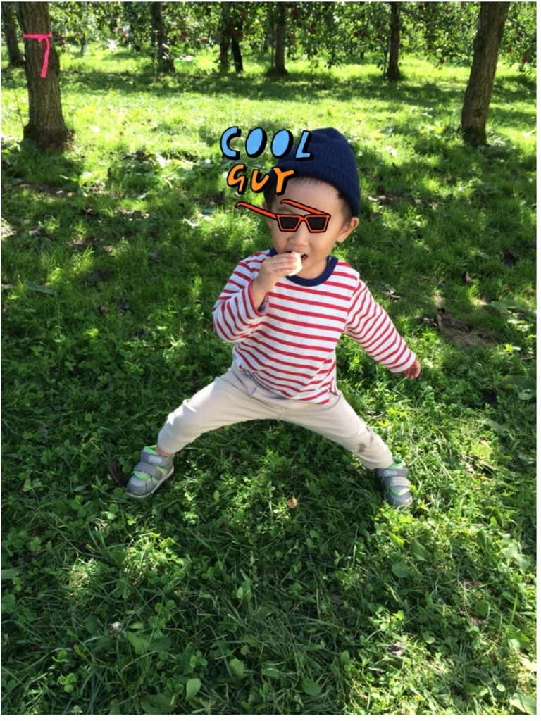 f:id:nonchikosodate:20171003141308j:plain