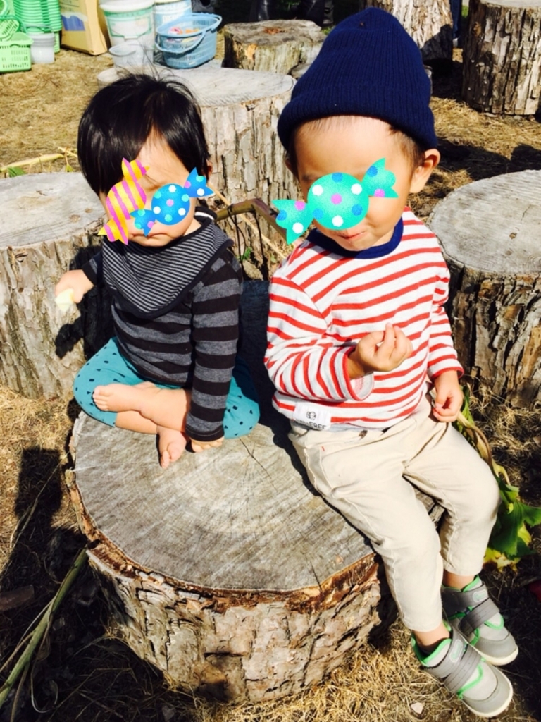 f:id:nonchikosodate:20171003141328j:plain