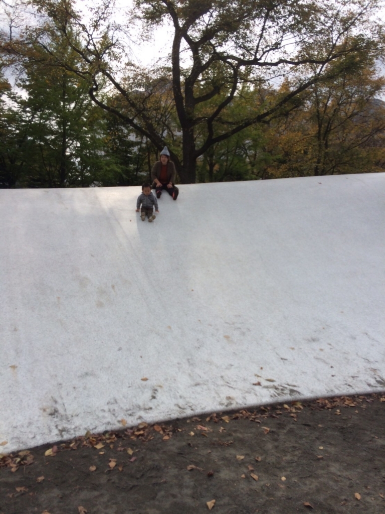 f:id:nonchikosodate:20171024233741j:plain