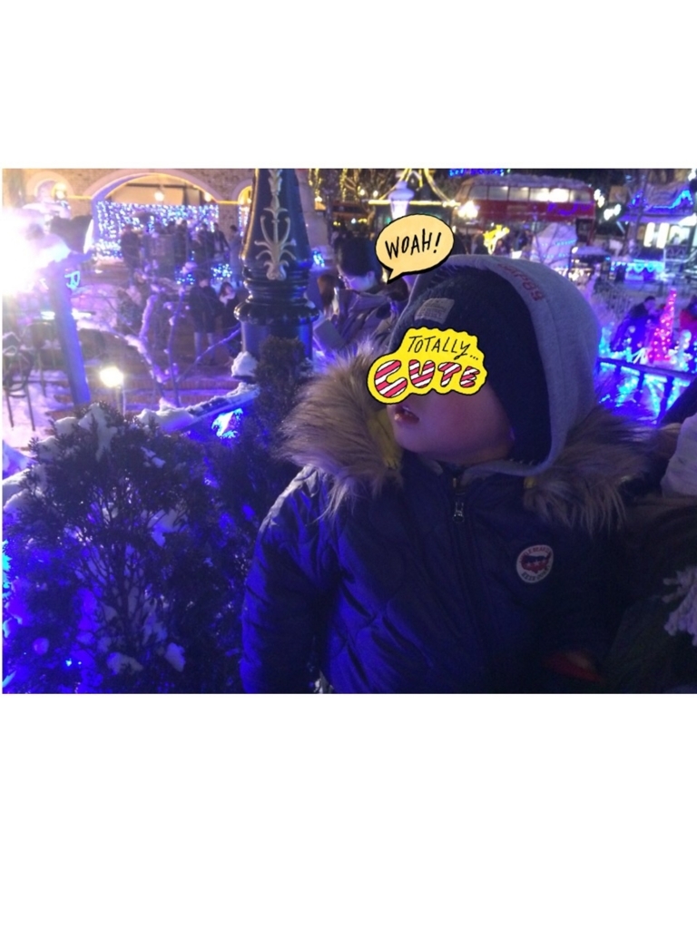 f:id:nonchikosodate:20180215234058j:plain