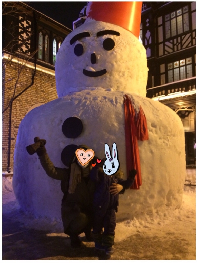 f:id:nonchikosodate:20180215234116j:plain