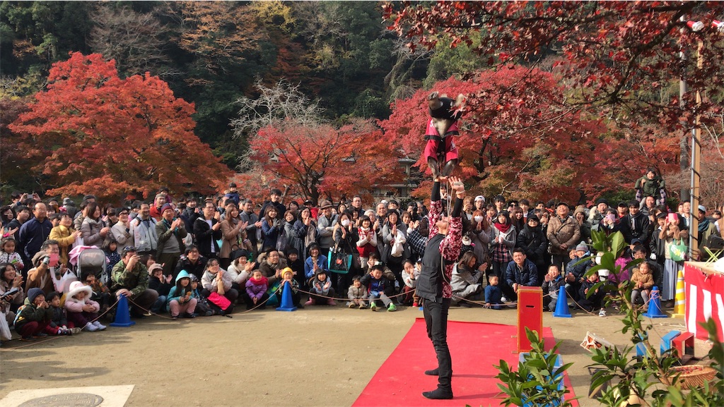 f:id:nondai:20190519154307j:image f:id:nondai:20190519154307j:image