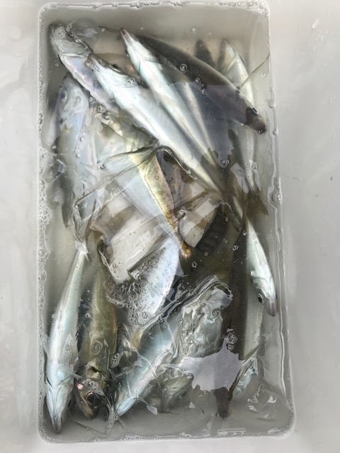 f:id:nondakure53:20180317111352j:plain f:id:nondakure53:20180317111352j:plain