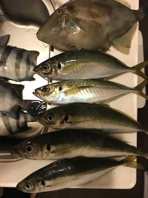 f:id:nondakure53:20181222223325j:plain f:id:nondakure53:20181222223325j:plain