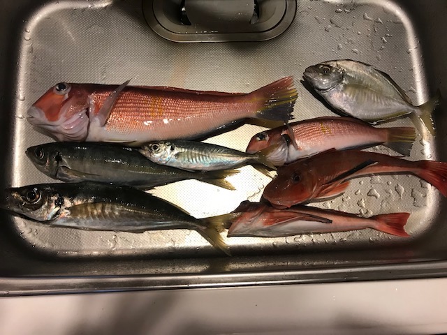 f:id:nondakure53:20190317111748j:plain f:id:nondakure53:20190317111748j:plain