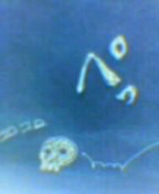 f:id:nondetabete:20120928205111j:image