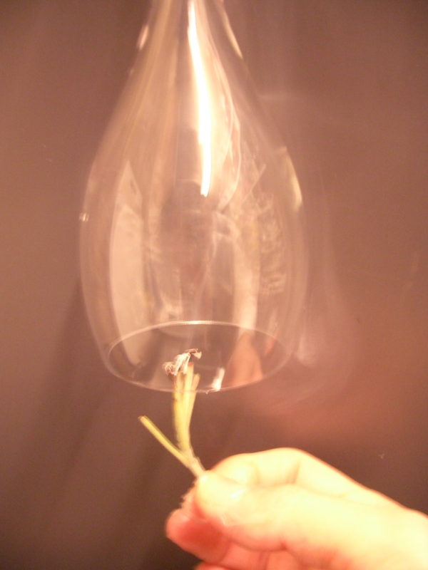 f:id:nondetabete:20121110014846j:image:w260