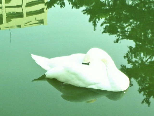 f:id:nondetabete:20130324003103j:image:w360
