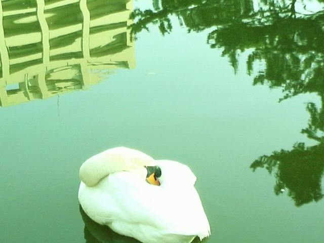 f:id:nondetabete:20130408005015j:image:w360