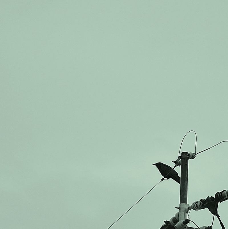 f:id:nondetabete:20140508024836j:image:w360