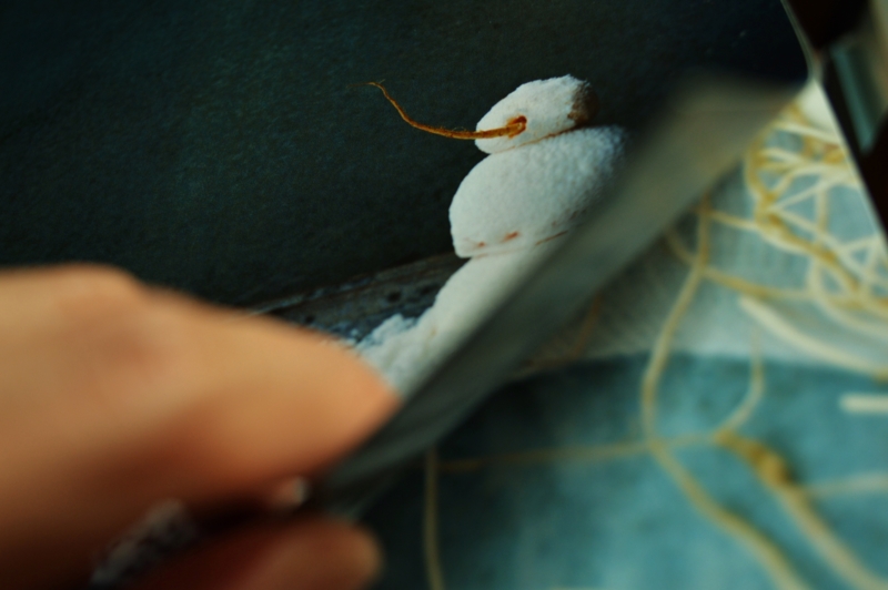 f:id:nondetabete:20141105214335j:image:w420