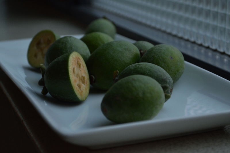 f:id:nondetabete:20141109045409j:image:w420