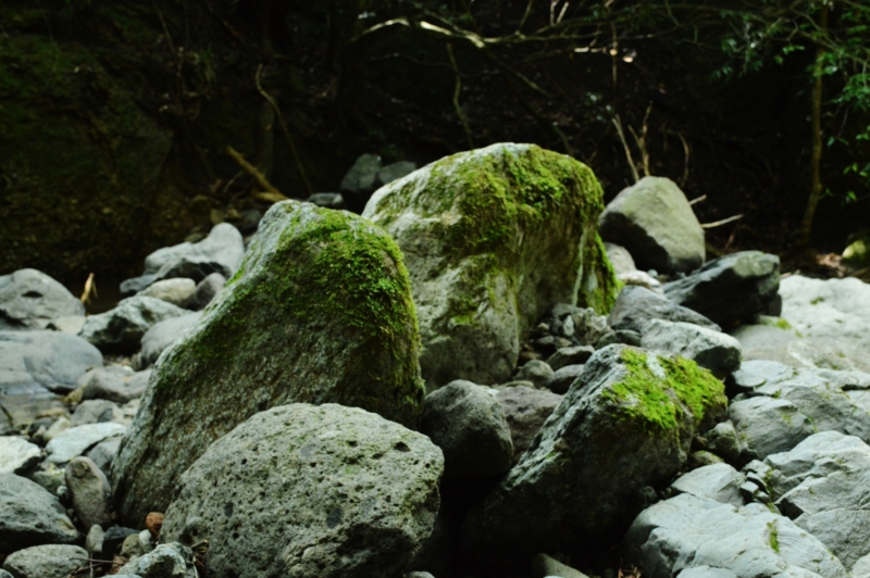 f:id:nondetabete:20150824054436j:image:w420 f:id:nondetabete:20150824054436j:image:w420