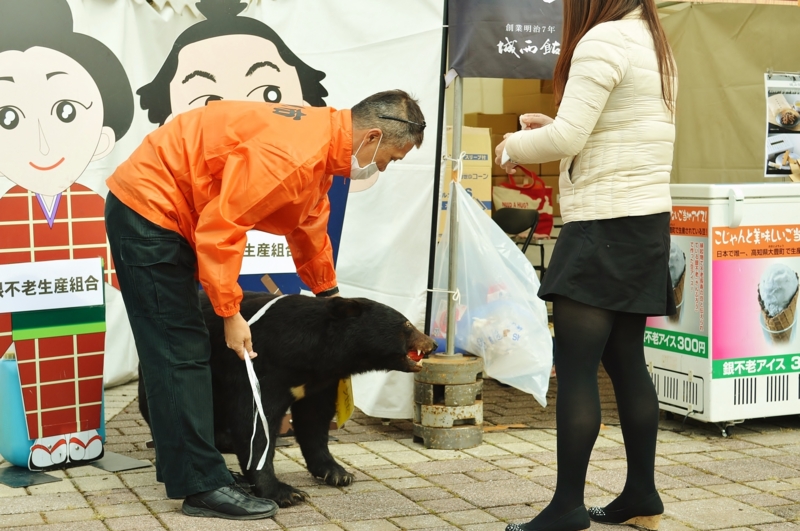 f:id:nondetabete:20151112230348j:image:w420