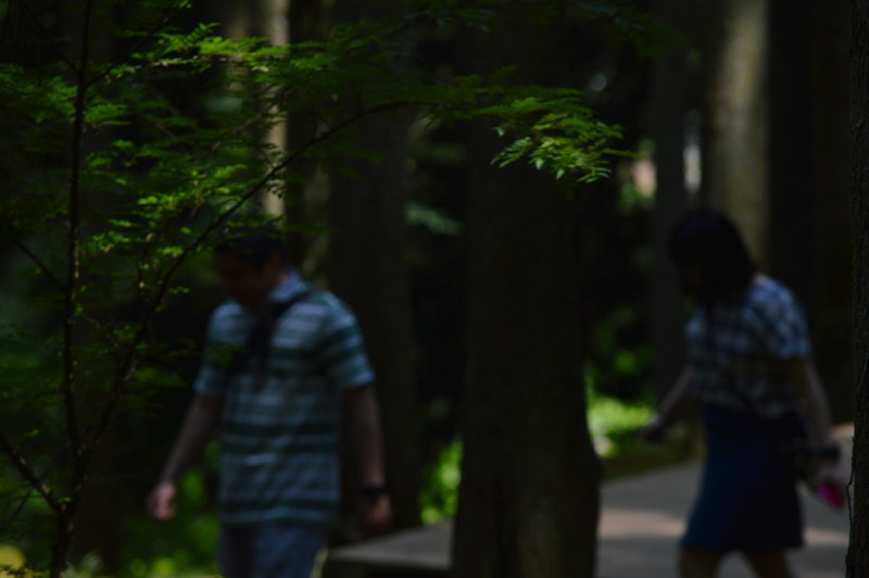 f:id:nondetabete:20160726031831j:image:w460
