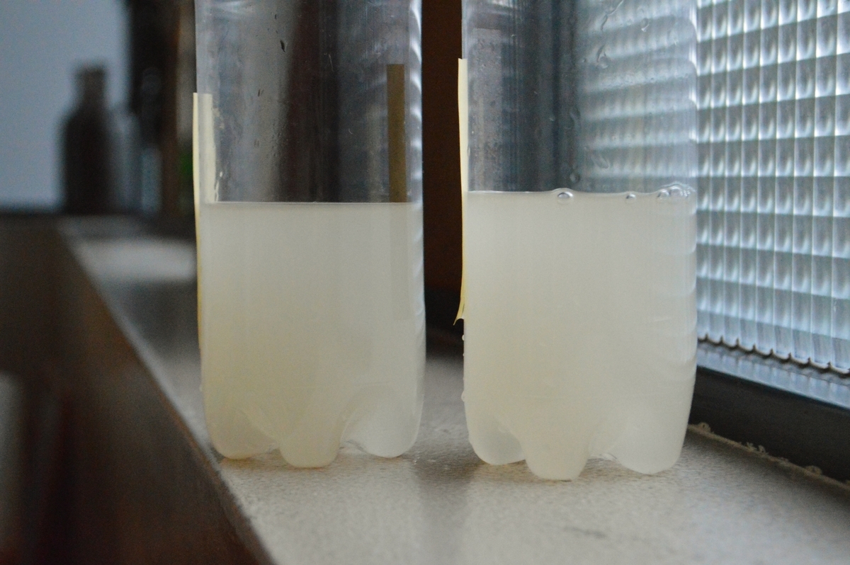 f:id:nondetabete:20200301064940j:plain f:id:nondetabete:20200301064940j:plain